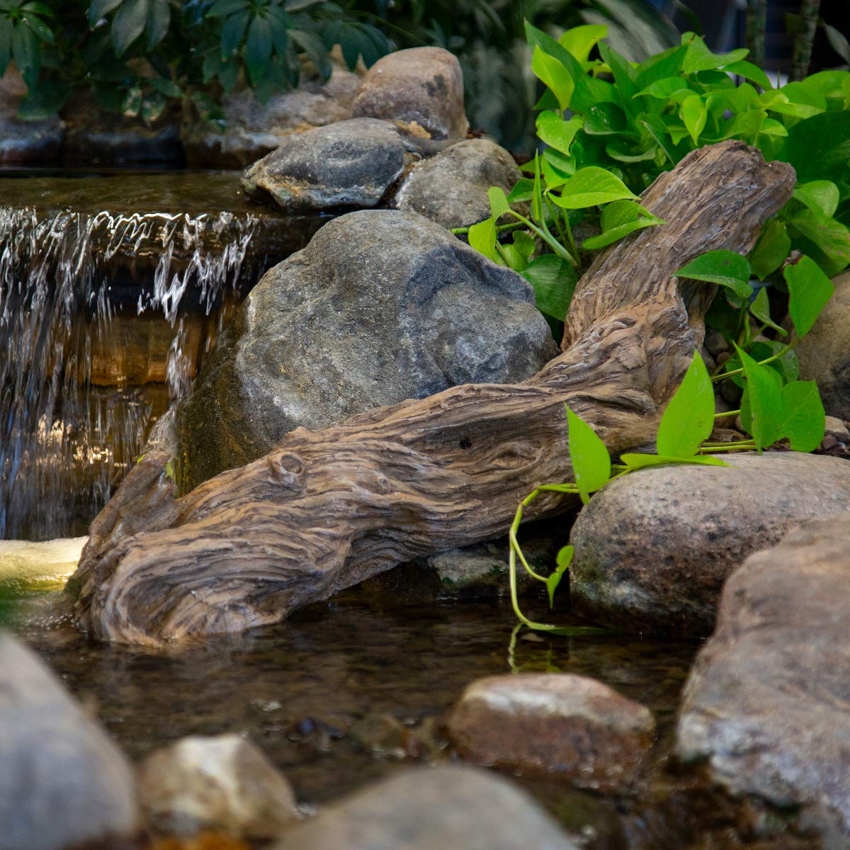 Amazon.co.jp: Aquascape 人工流木装飾アクセント – リアルな30インチ